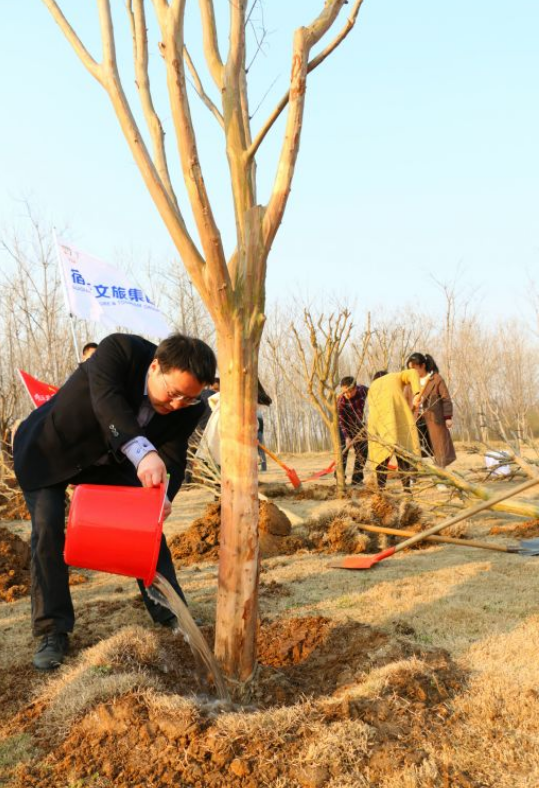 又是一年春好處，植樹造林正當(dāng)時——市文旅集團(tuán)組織開展2019年義務(wù)植樹活動(圖2)