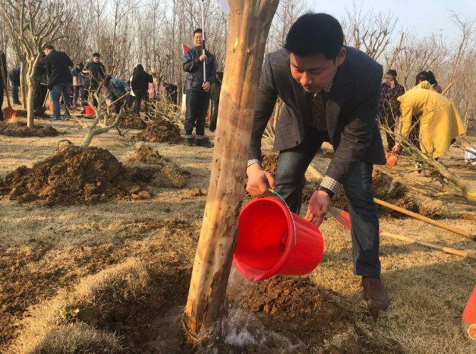 又是一年春好處，植樹造林正當(dāng)時——市文旅集團(tuán)組織開展2019年義務(wù)植樹活動(圖3)