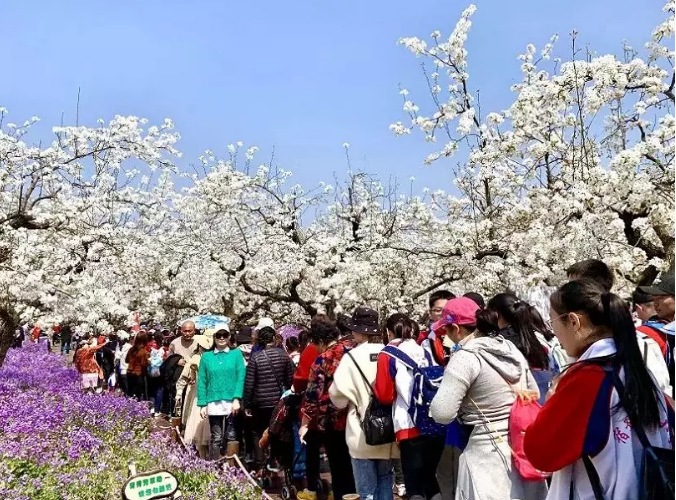 持之以恒規(guī)范旅游市場秩序，堅定不移維護良好旅游形象(圖3)