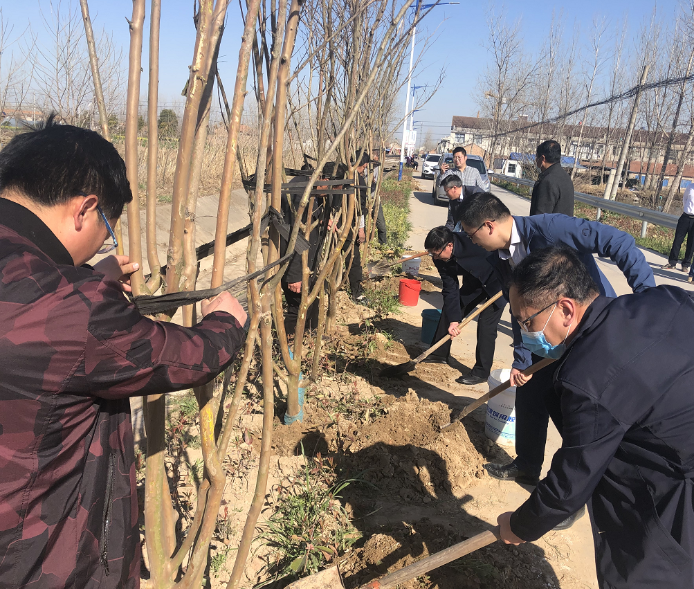 市文旅集團(tuán)向掛鉤幫扶村送樹苗(圖1)