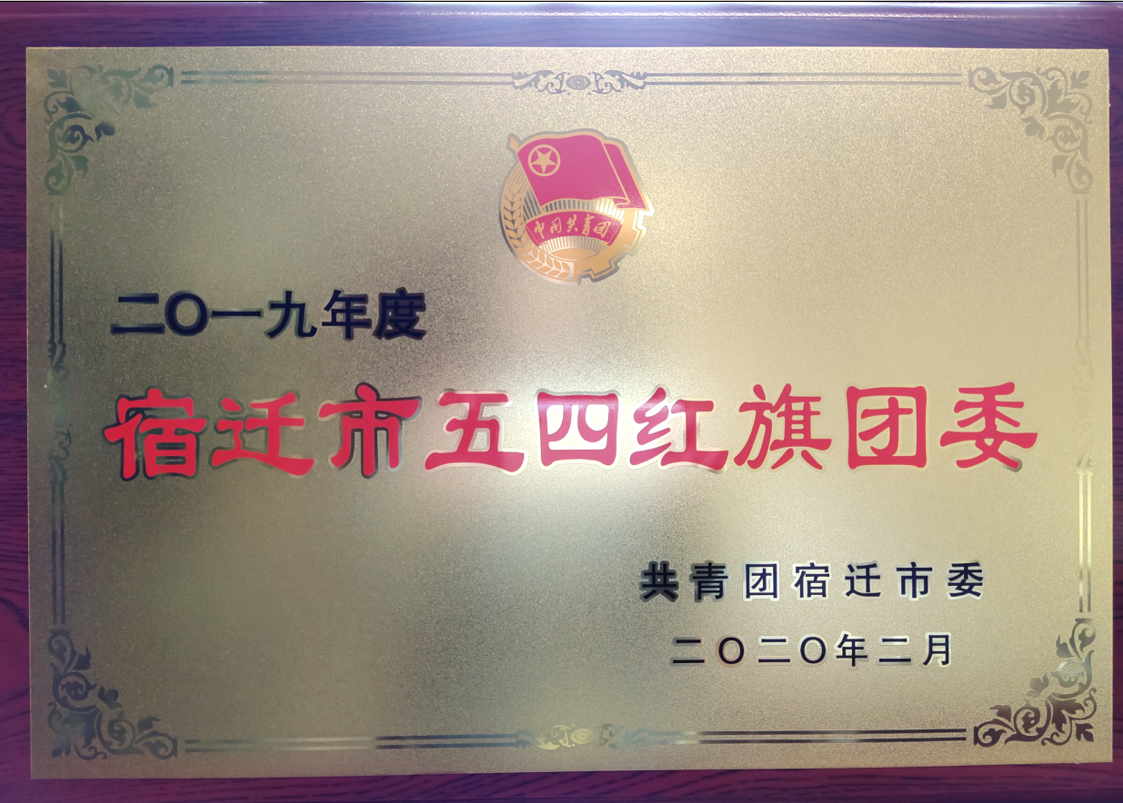 市文旅集團(tuán)獲評(píng)“宿遷市五四紅旗團(tuán)委” “宿遷市五四紅旗團(tuán)支部（總支）”(圖1)